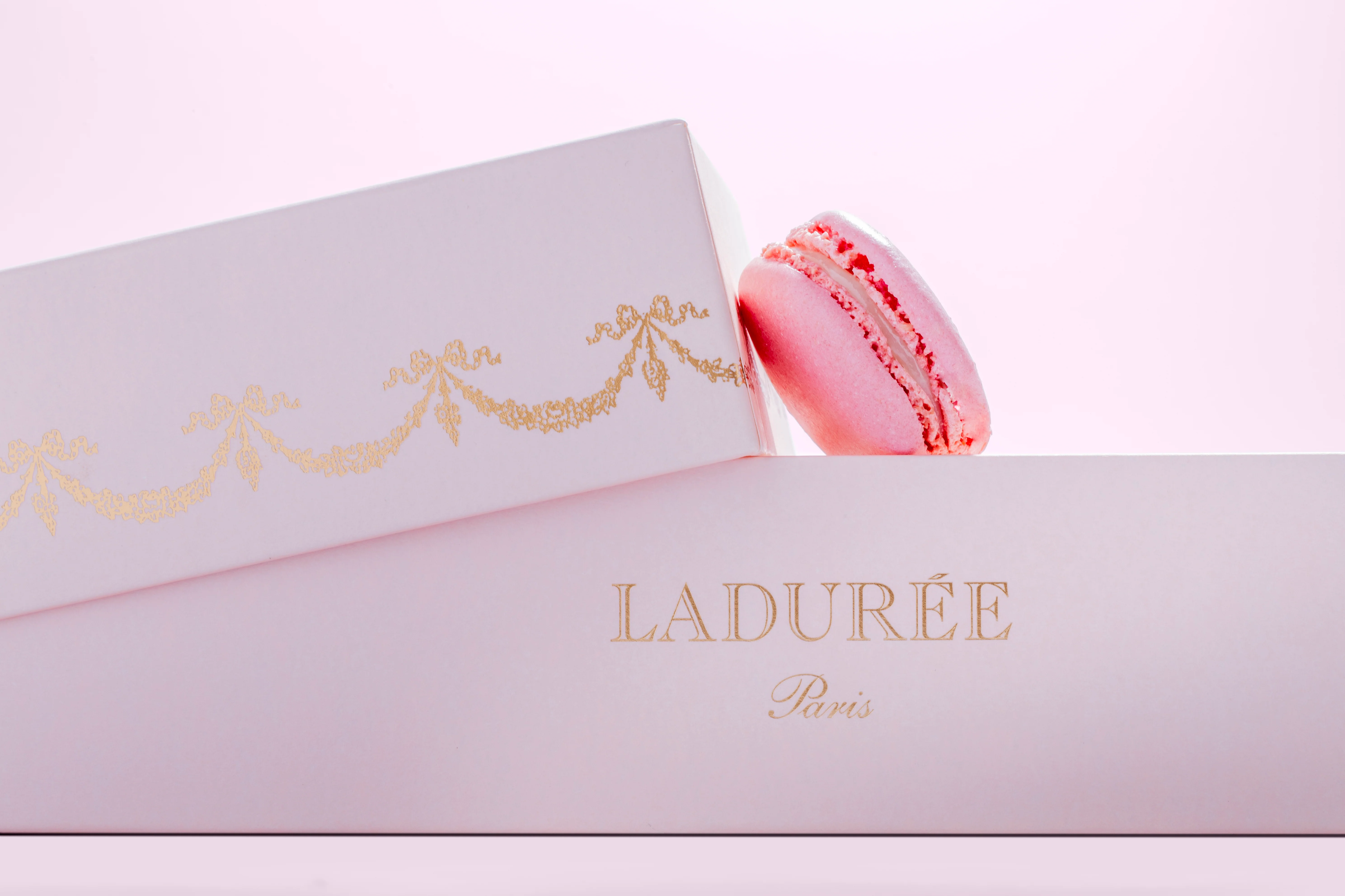 Coffret de 15 macarons "Intemporel" - rose - Image 3